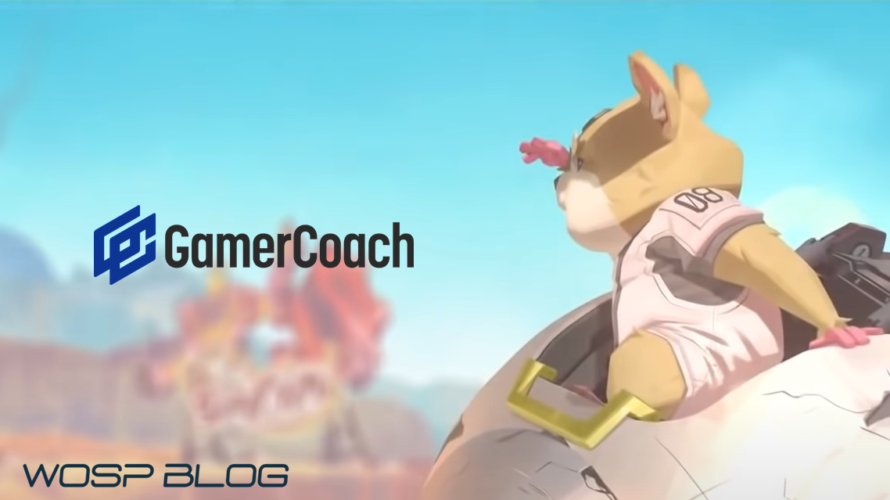 【GamerCoach】OWを根っこから深堀り!授業式コーチング!