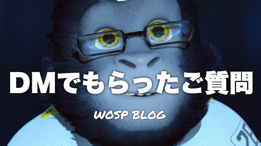 Ow Dmで貰ったご質問 4 オーバーウォッチ Wosp Blog